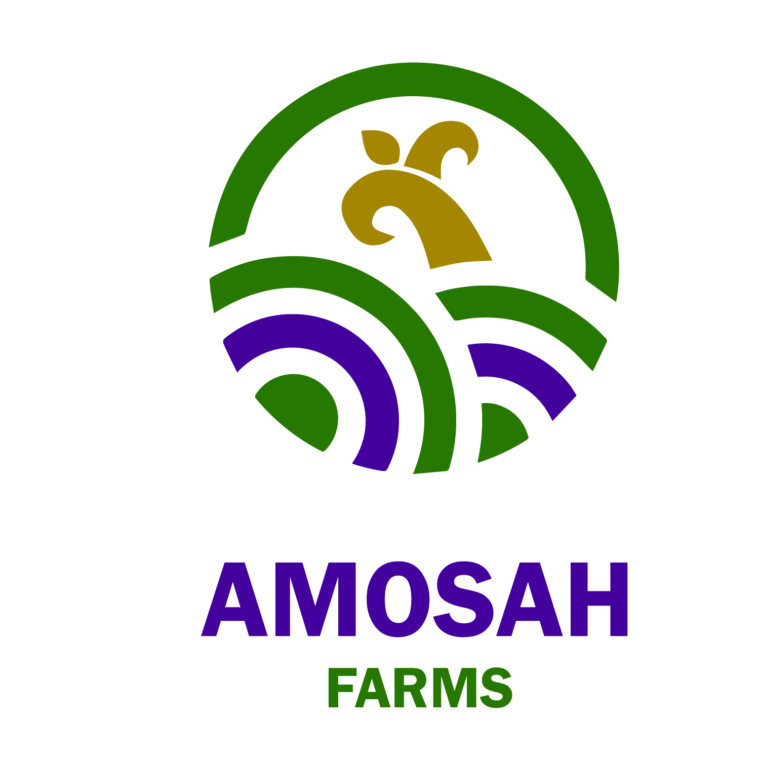 www.amosahfarms.kesagp.com