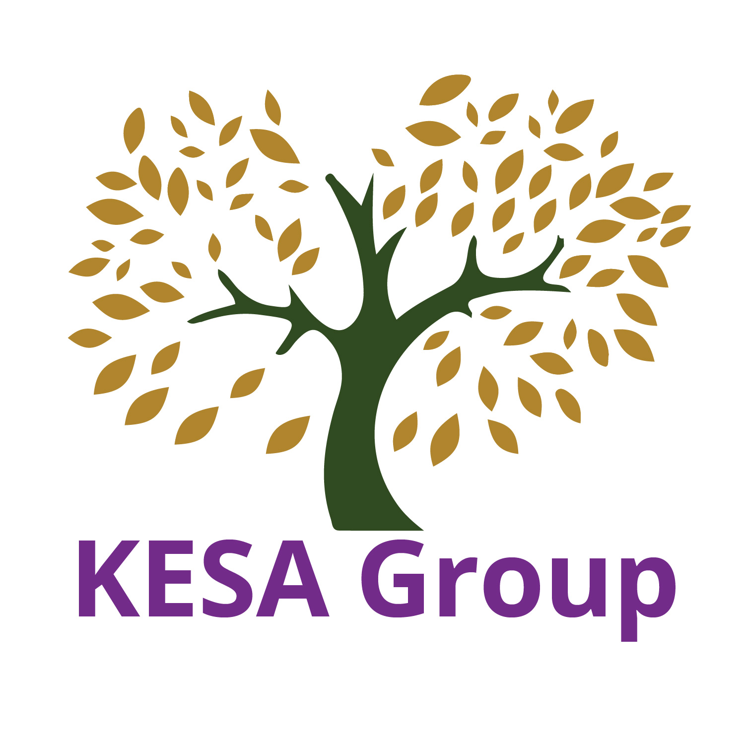 www.kesagp.com